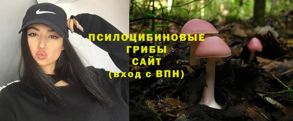 COCAINE Богданович